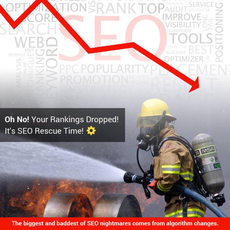 Oh No! Your Rankings Dropped! It's SEO Rescue Time!