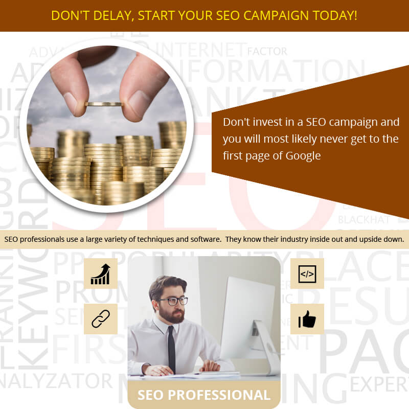 Don't Delay, Start Your SEO Campaign Today!