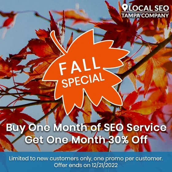 Buy One Month of SEO Service – Get One Month 30% Off*